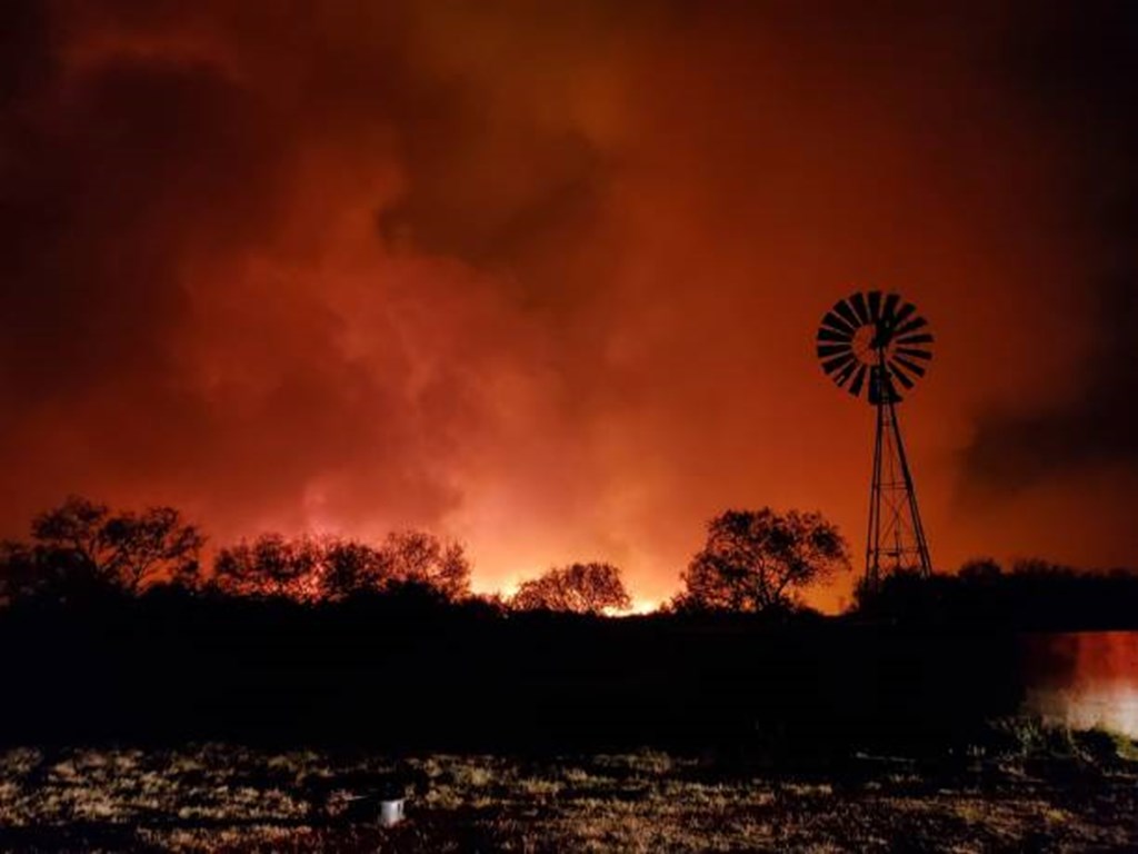 USDA Authorizes CRP Donations to Wildfire-Impacted Livestock Producers