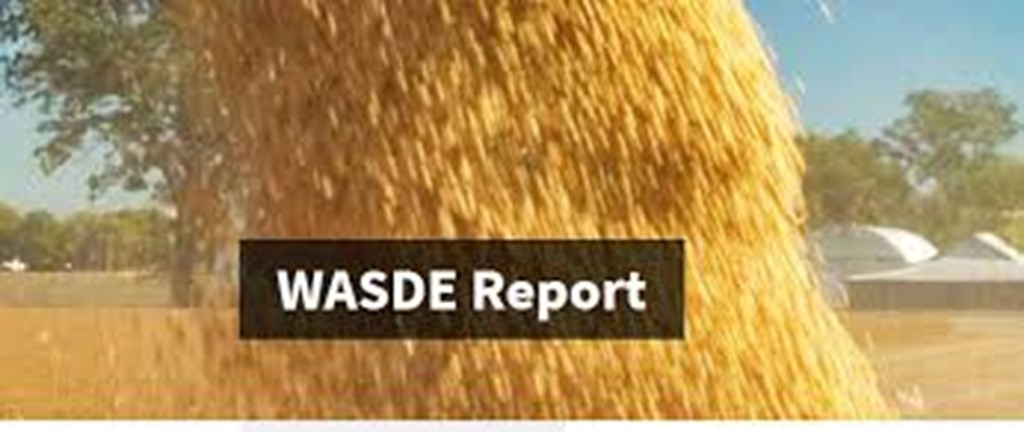 April WASDE: Cattle Price and Beef Export Estimates Raised; Corn Price Lowered