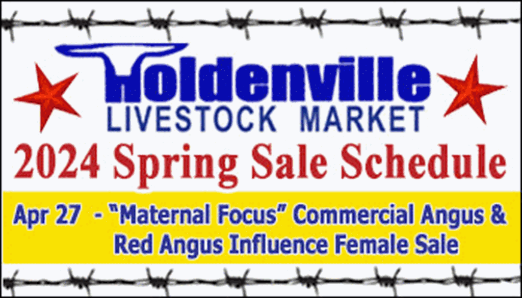 Holdenville Special Stock Cow & Breeding Bull Sale