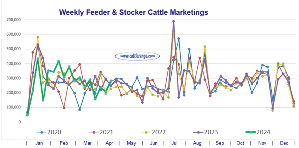 Feeder & Stocker Cattle Marketings for the week ending 4/20/24