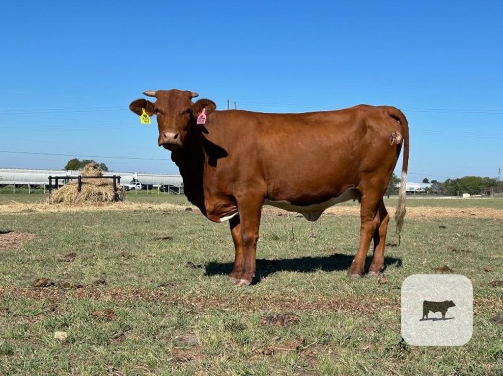 Cattle Range Listing Photo