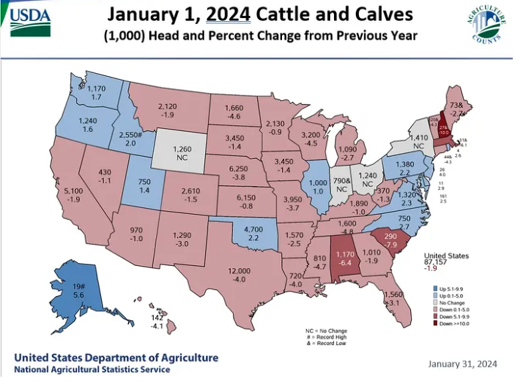 USDA Cattle Inventory Report: State Rankings & Changes from 2023