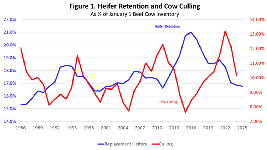 Beef Herd Dynamics: What’s Possible in 2025?