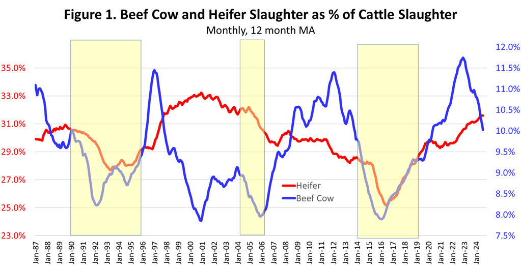 An Update on Herd Rebuilding