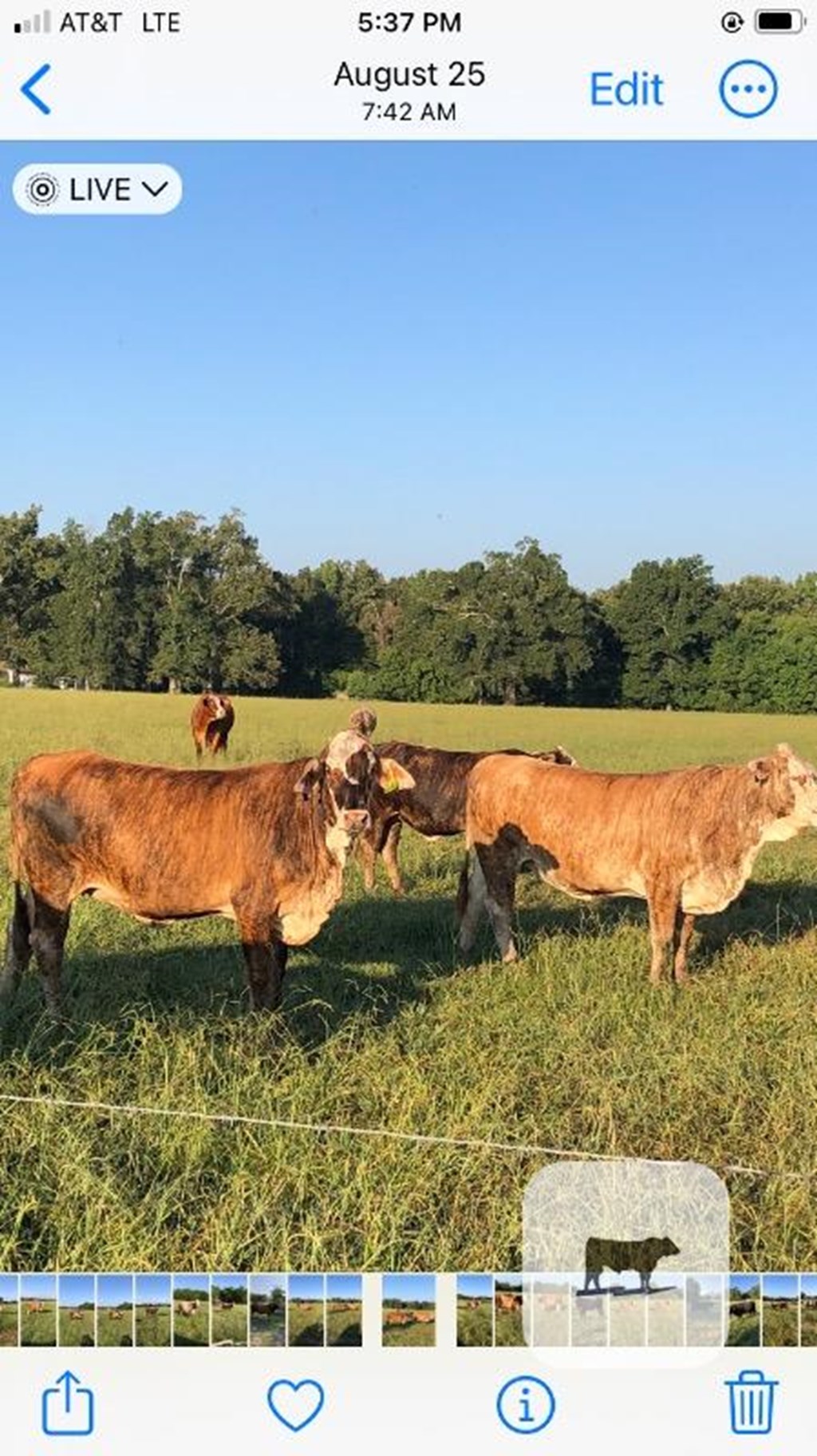 Cattle Range Listing Photo