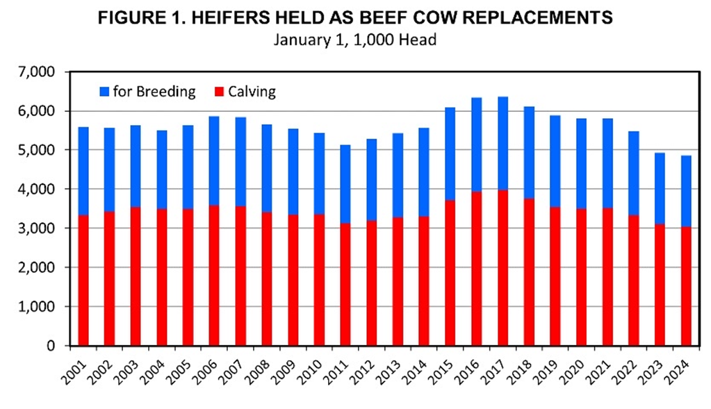 ‘Planned’ and ‘Impulse’ Heifer Breeding