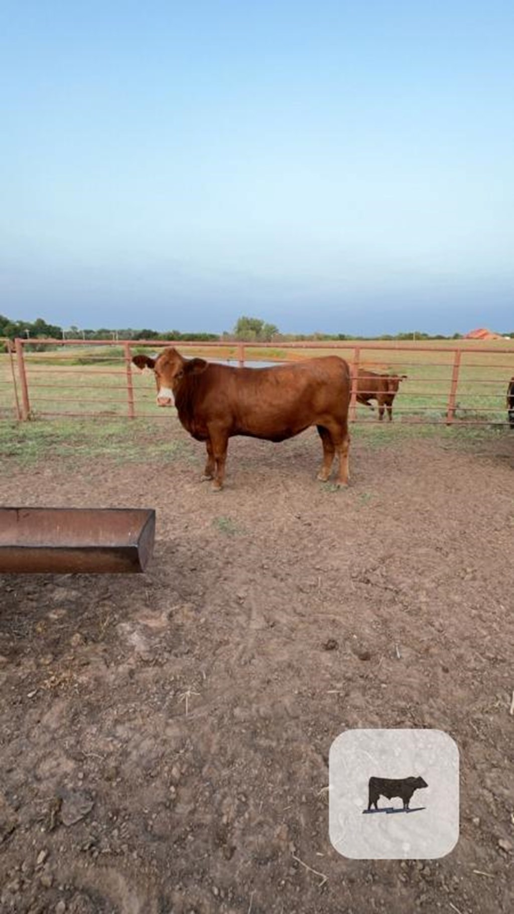 Cattle Range Listing Photo