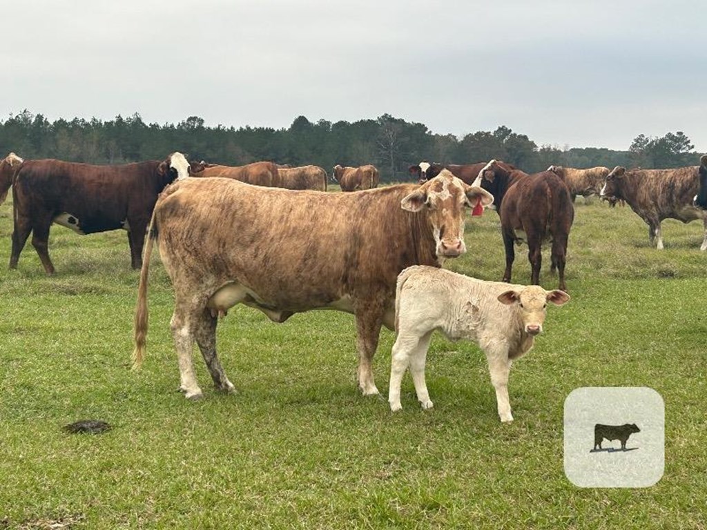 Cattle Range Listing Photo