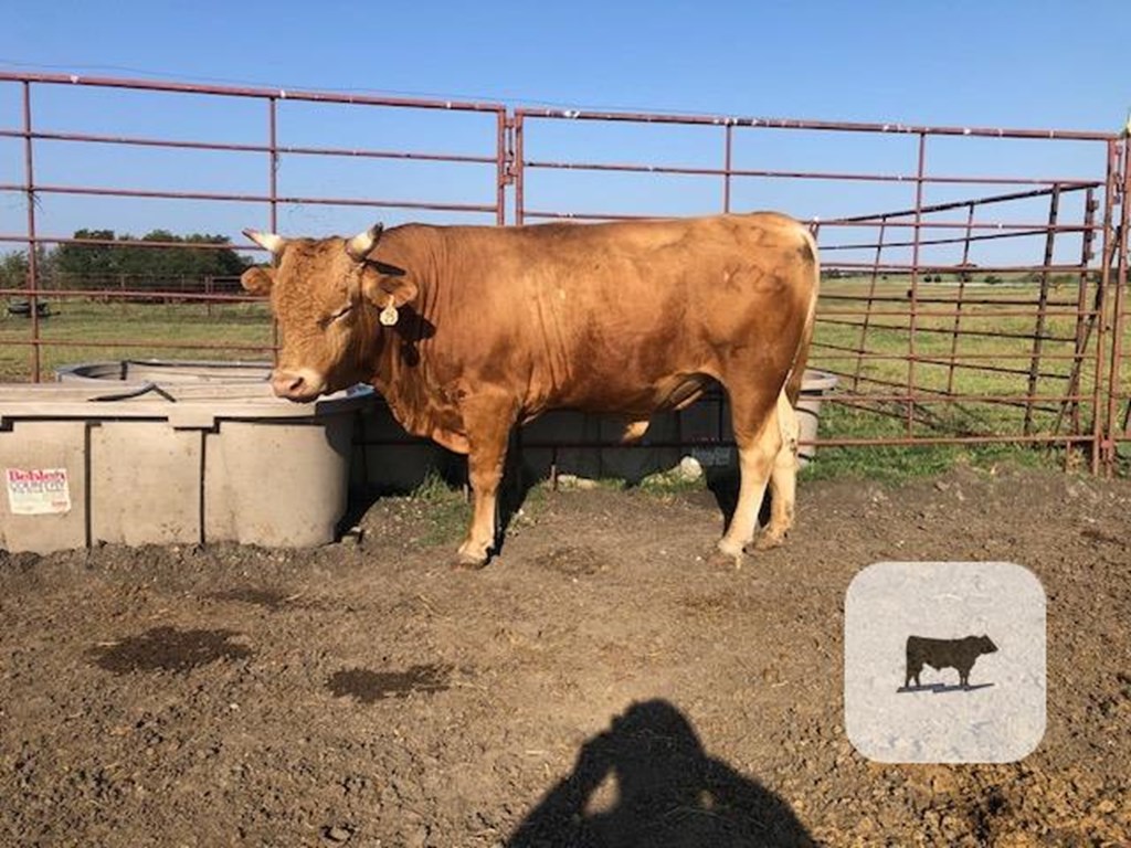 Cattle Range Listing Photo