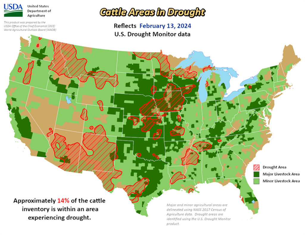 14% of U.S. Cattle are in Drought Areas... Down 2% from Last Week