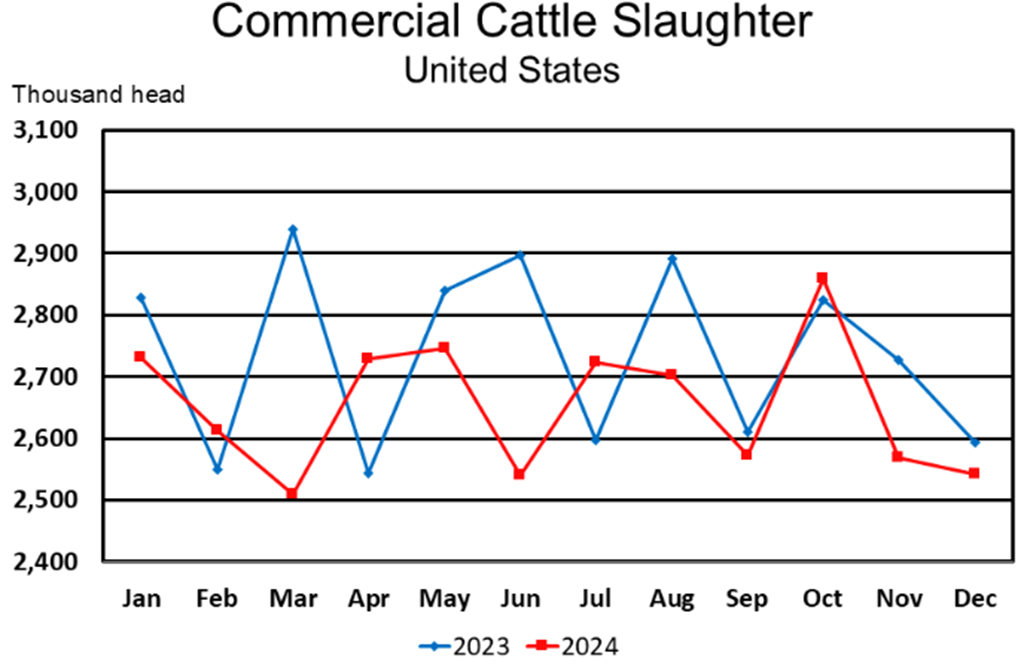 December Beef Production Slightly Above Last Year