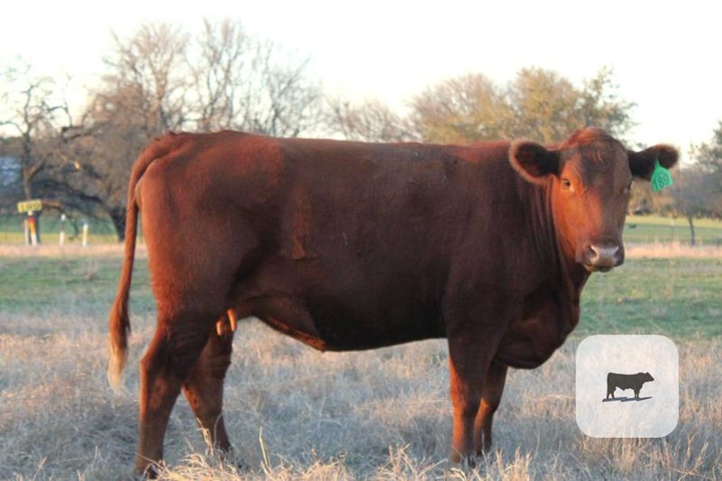 Cattle Range Listing Photo