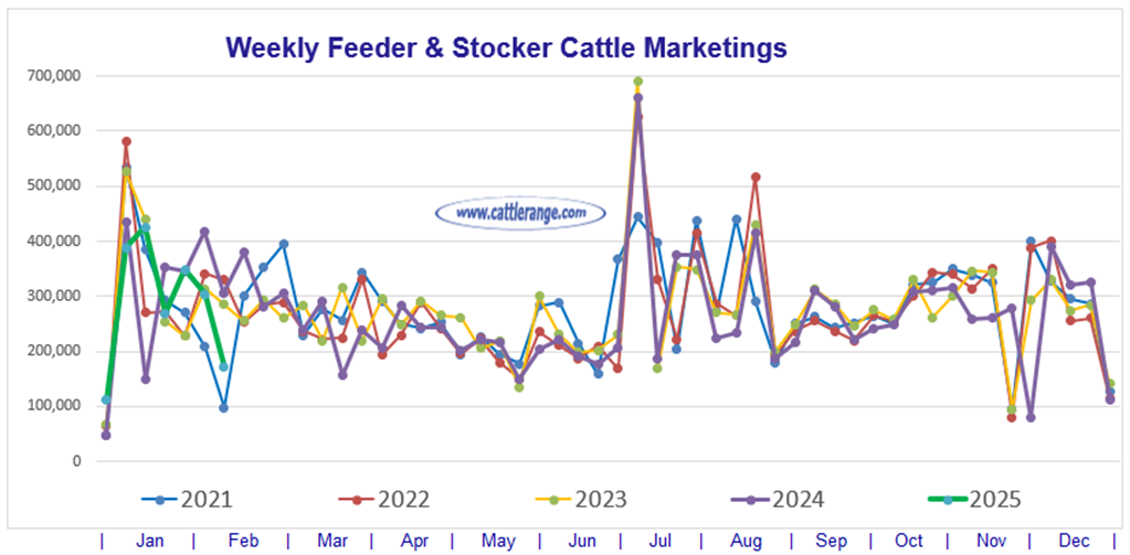 Feeder & Stocker Cattle Marketings for the week ending 2/15/25