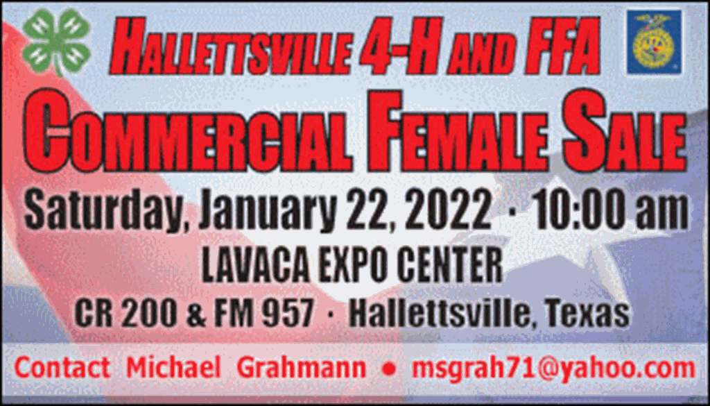 SS-Hallettsville 4H & FFA Commercial Female Sale-01-22-2022