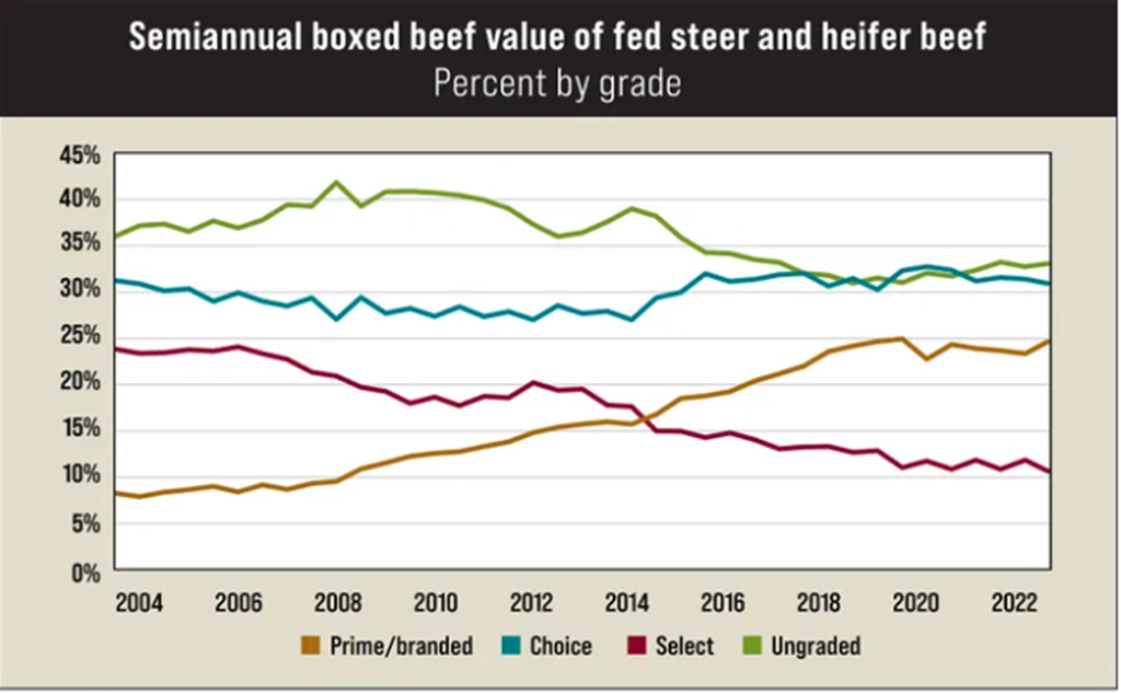 How long can Consumers afford Prime Beef?