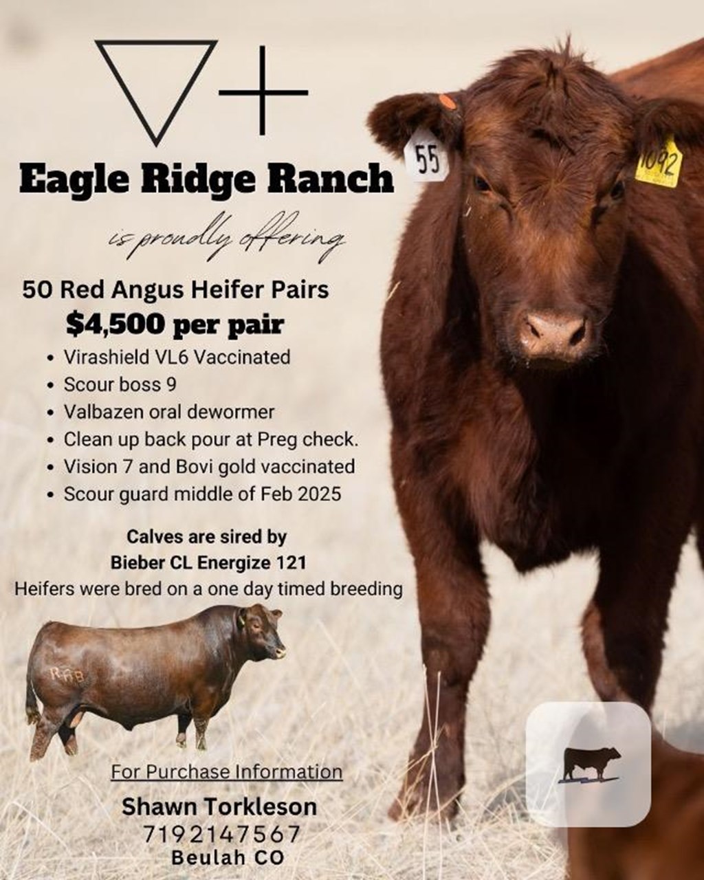 Cattle Range Listing Photo