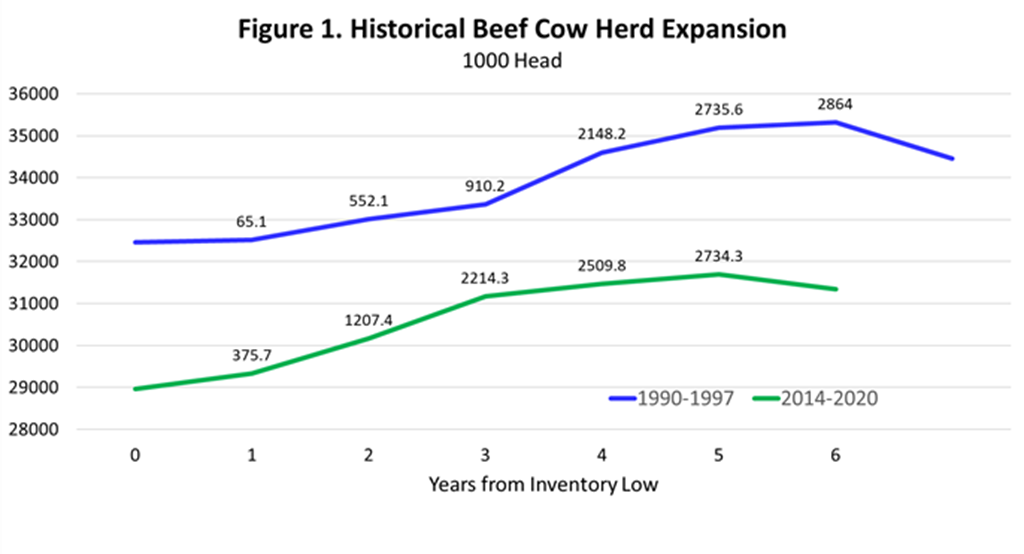 Two Scenarios for Beef Herd Expansion:  Slow… And even Slower