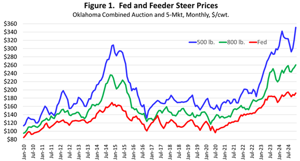 Cattle Prices Near Record Levels to Finish 2024