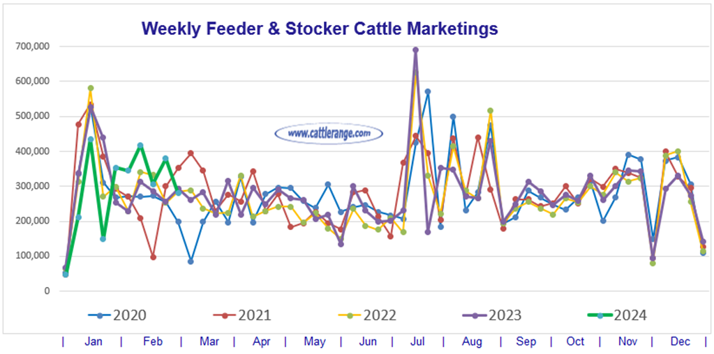 Feeder & Stocker Cattle Marketings for the week ending 3/2/24