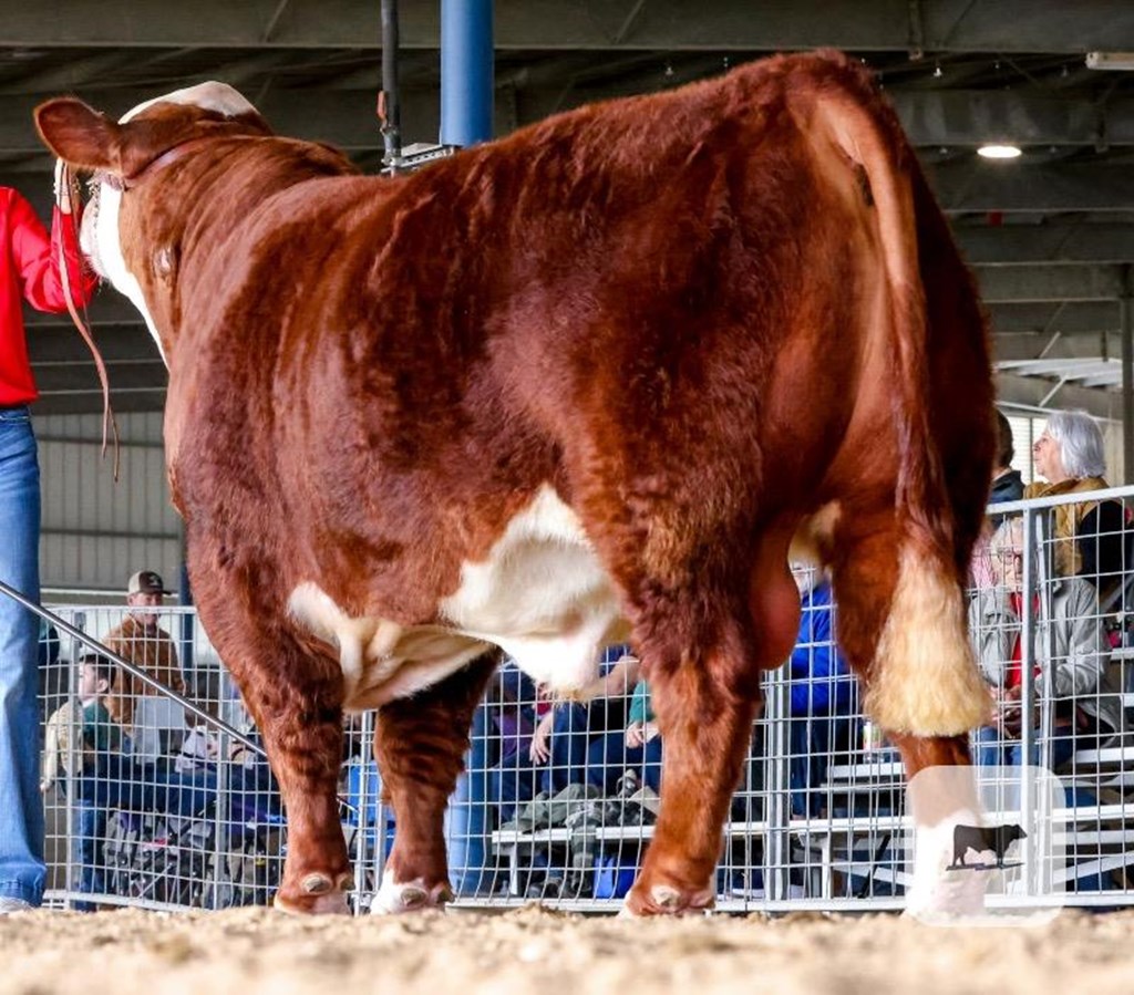 Cattle Range Listing Photo