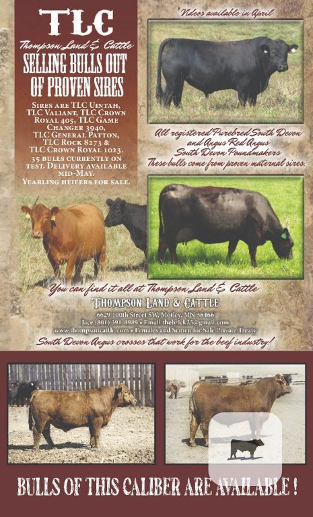 Cattle Range Listing Photo