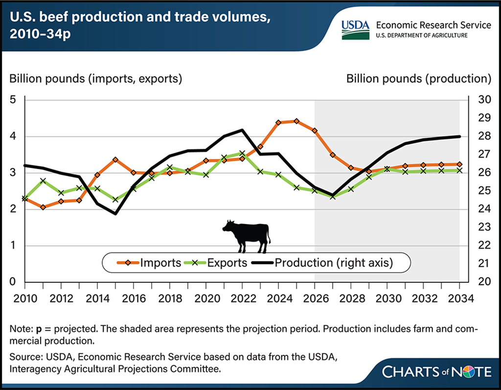 USDA: For 2025, Beef Imports are Projected to Increase while Exports Decline