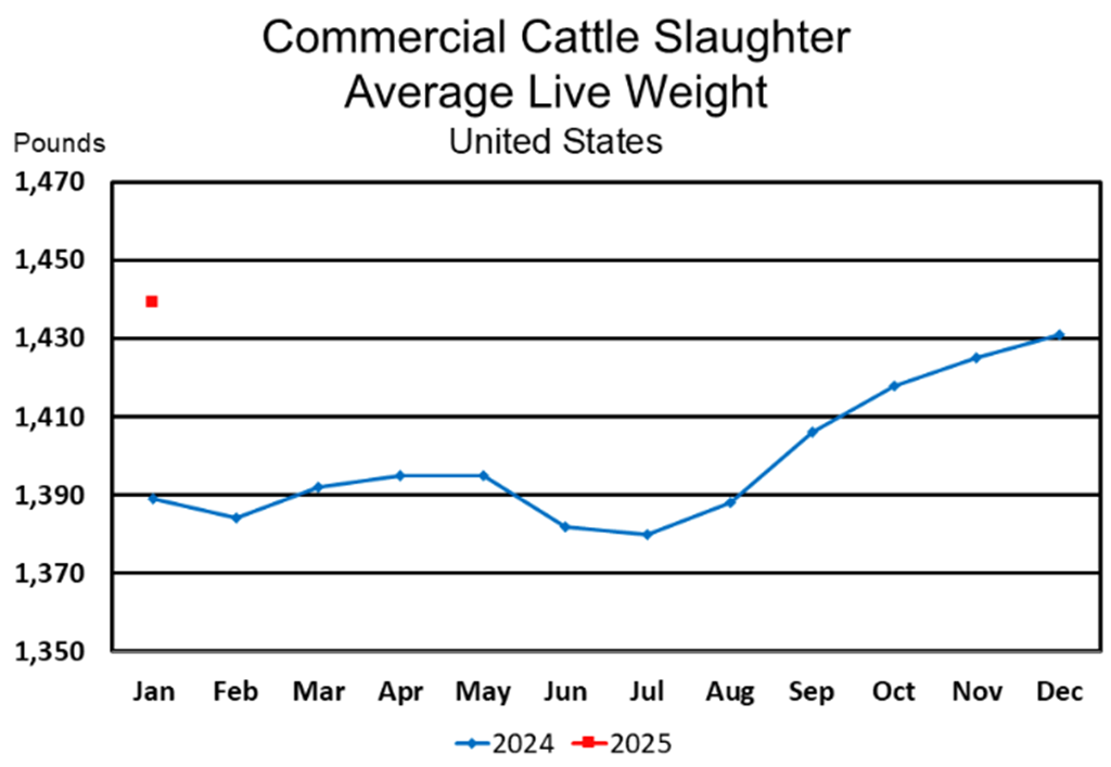 January Beef Production 4 Percent Higher than Last Year