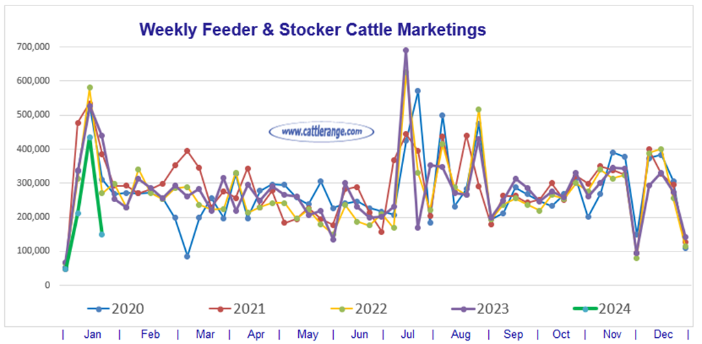 Feeder & Stocker Cattle Marketings for the week ending 1/20/24