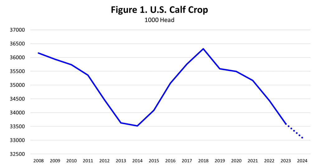 Analysis of August Cattle on Feed Report