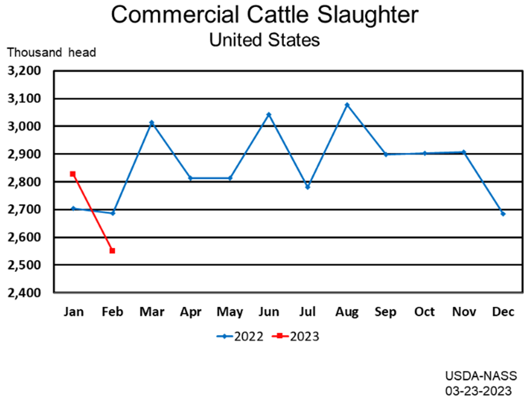 February Commercial Red Meat Production Down 4 Percent from Last Year