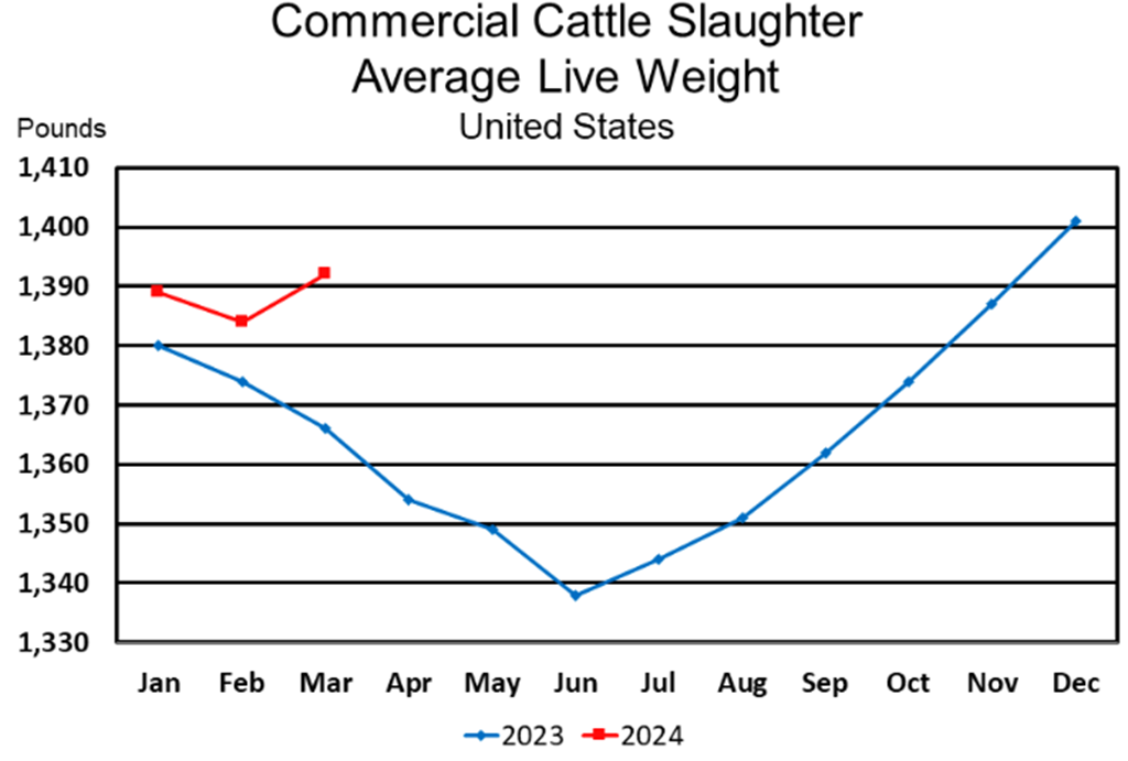 April Livestock Slaughter Report: Red Meat Production Down 11%