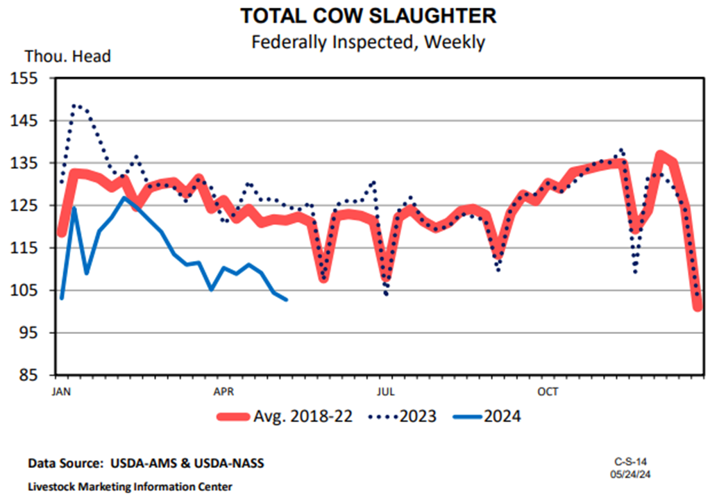 Weekly Cow Slaughter Trends Lower as Prices Rise