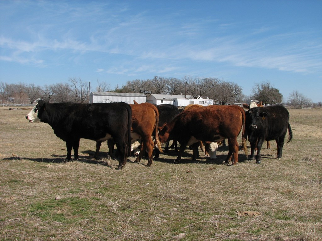 Cattle Range Listing Photo