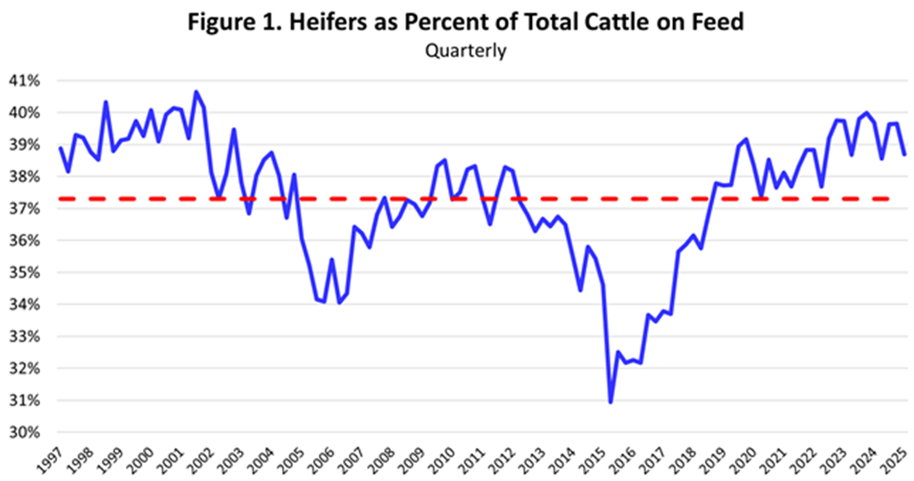 Fewer Feedlot Placements; Less Heifers on Feed