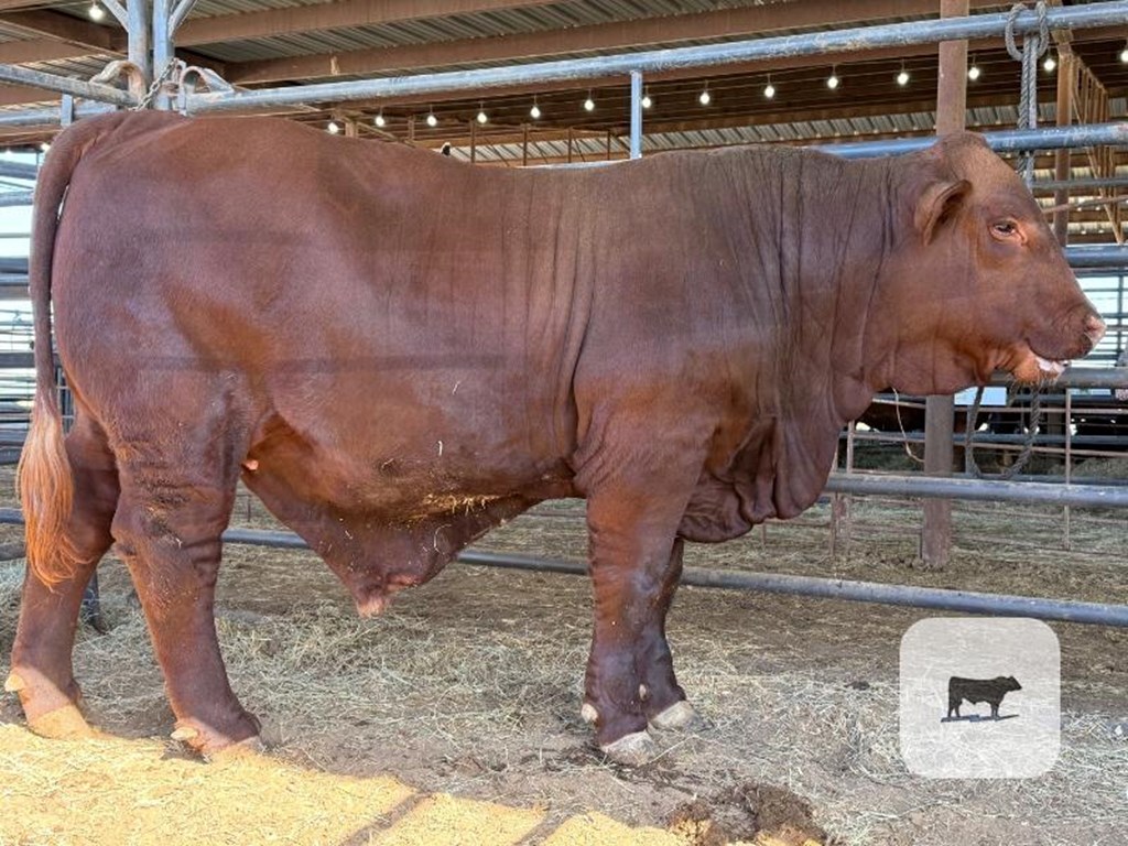 Cattle Range Listing Photo