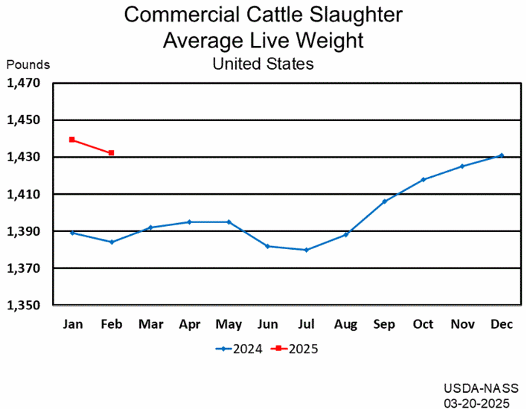 February Commercial Red Meat Production Down 7 Percent from Last Year