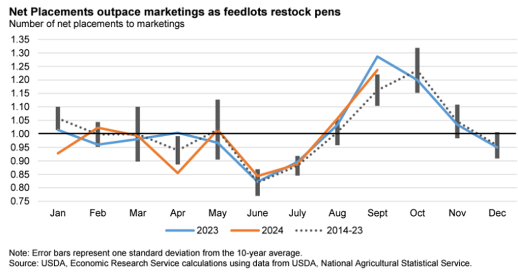 Heifers Continue to Buoy Feedlot Inventory