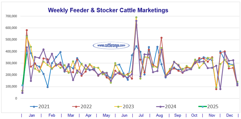 Feeder & Stocker Cattle Marketings for the week ending 1/11/25