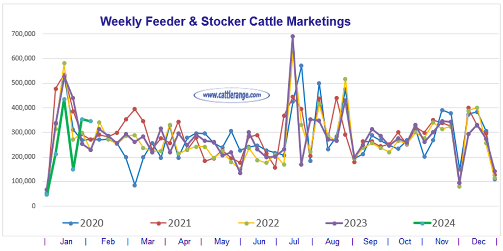 Feeder & Stocker Cattle Marketings for the week ending 2/3/24