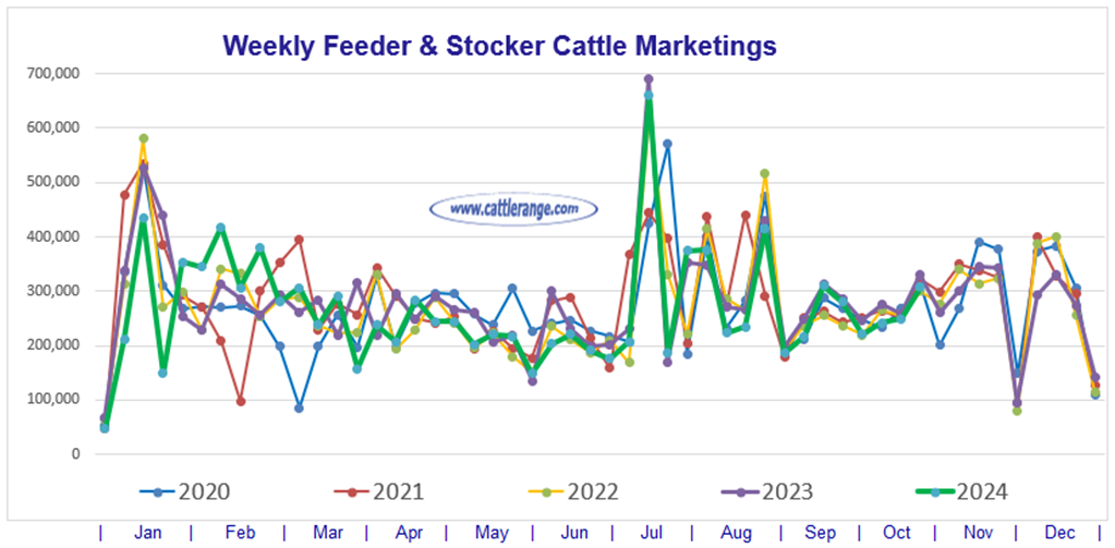 Feeder & Stocker Cattle Marketings for the week ending 10/19/24