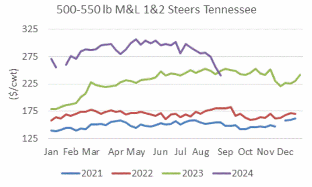 Cattle Economics: Fall Cattle Price Expectations