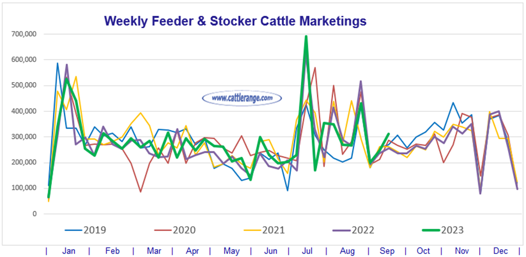 Feeder & Stocker Cattle Marketings for the week ending 9/16/23