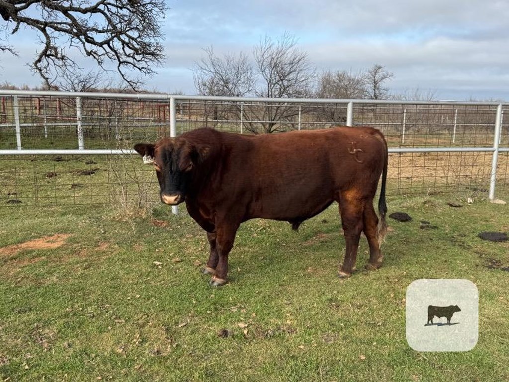 Cattle Range Listing Photo