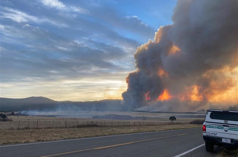 New Mexico Wildfire Torches Nearly 180,000 Acres