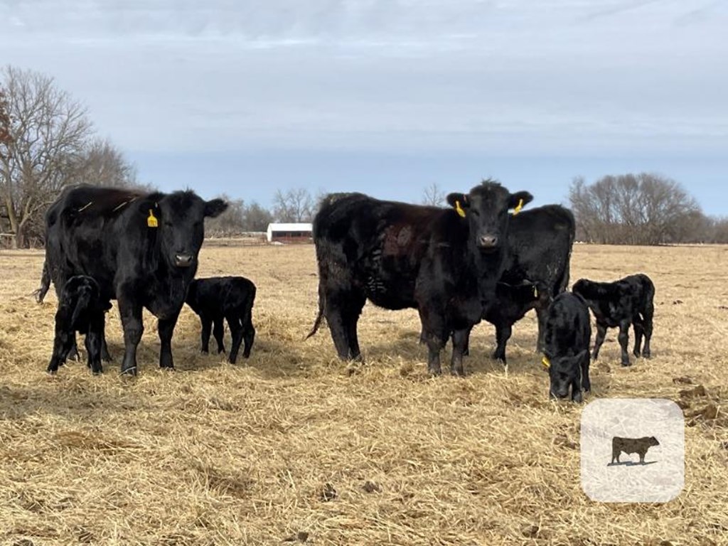 Cattle Range Listing Photo