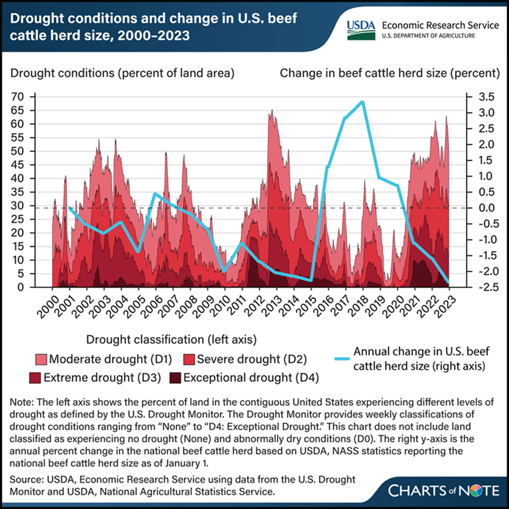 Drought’s Influence on U.S. Beef Cattle Herd Size