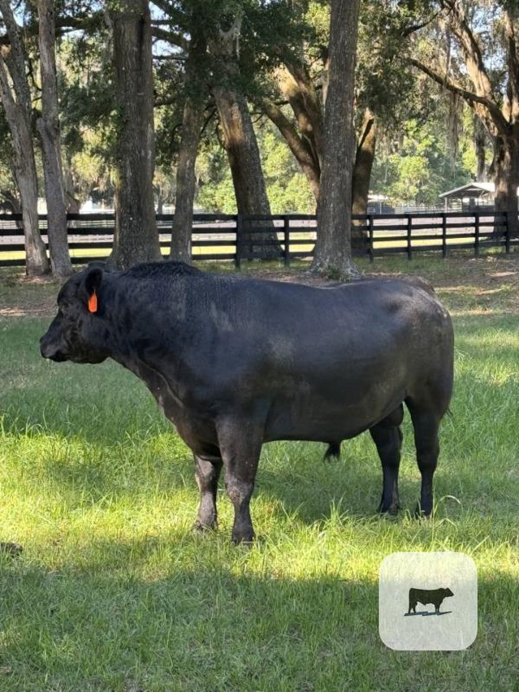 Cattle Range Listing Photo