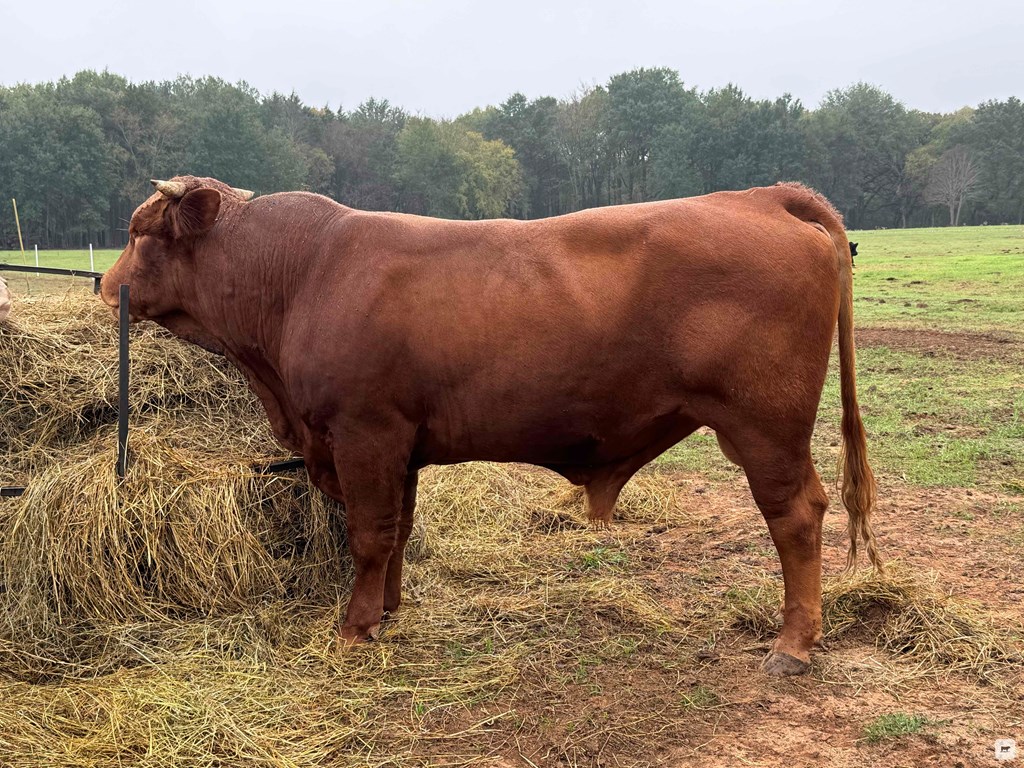 Cattle Range Listing Photo