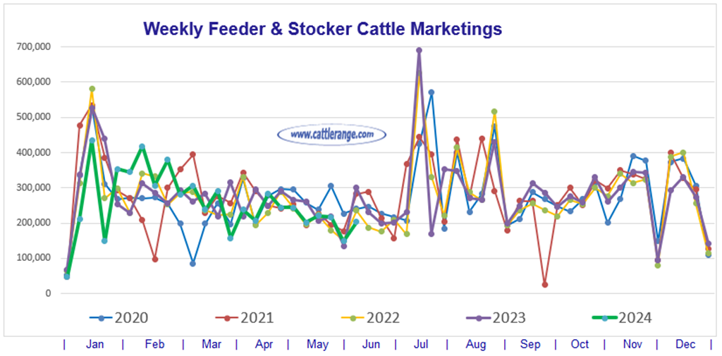 Feeder & Stocker Cattle Marketings for the week ending 6/8/24