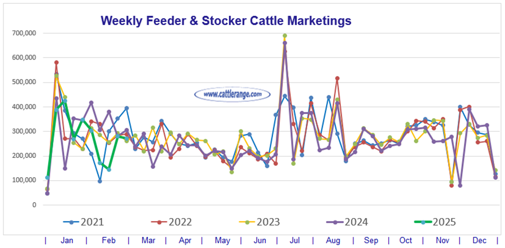 Feeder & Stocker Cattle Marketings for the week ending 3/8/25